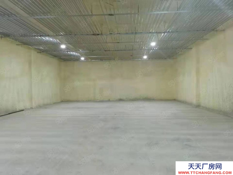 青島黃島區前灣港250平400平600平倉庫冷庫出租 可整租