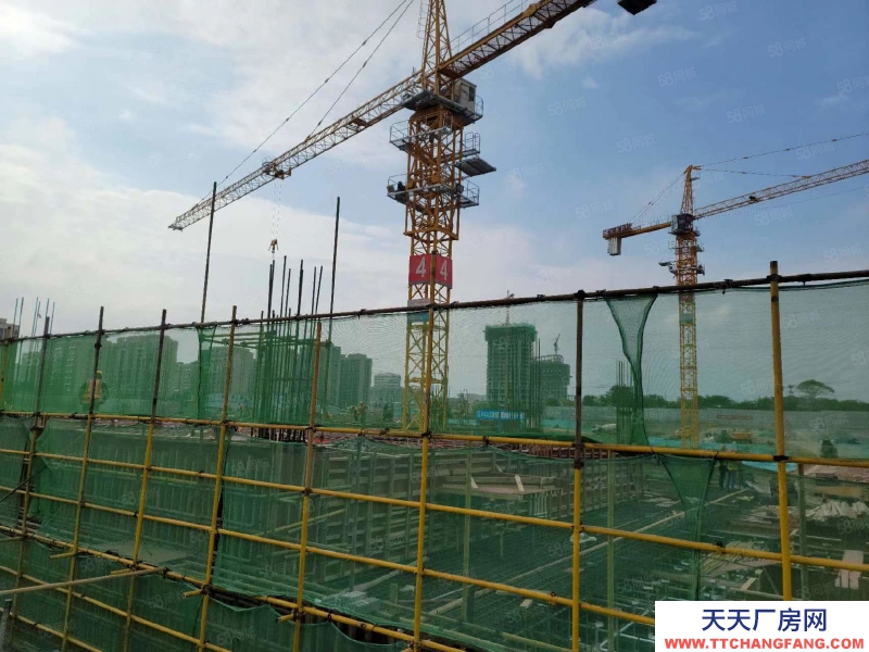 青島嶗山企業(yè)獨棟辦公樓1500平，3000平 可辦證 可貸款。