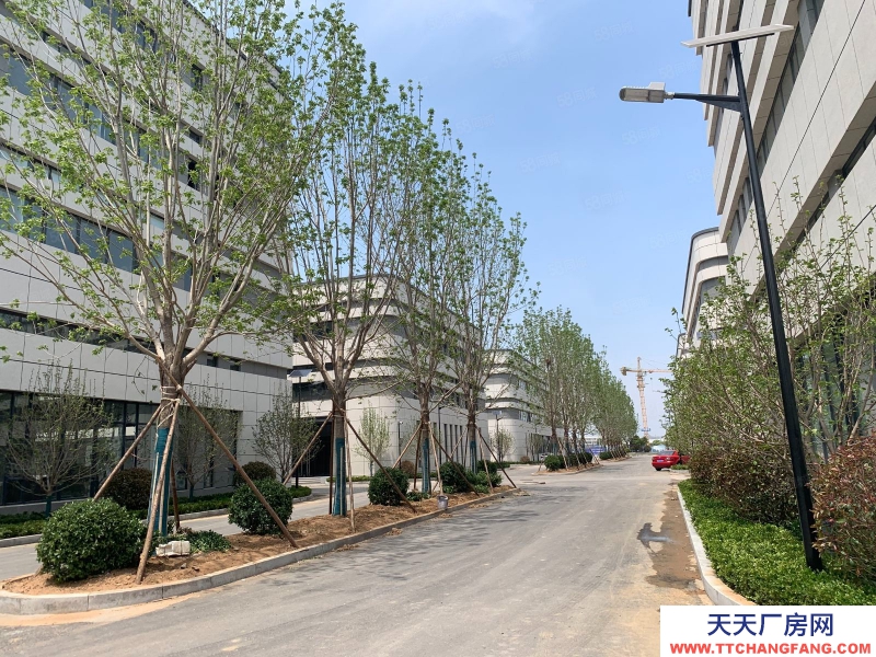 青島嶗山獨(dú)棟 食堂物業(yè)齊全 研產(chǎn)辦一體