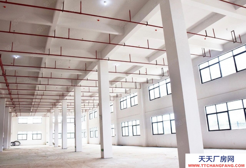 青島嶗山850至2400平大產(chǎn)權(quán)廠房出售 研發(fā) 生產(chǎn) 辦公 首付2成