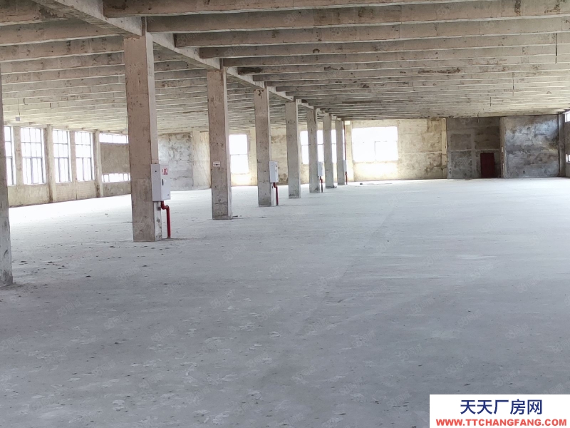 (出租) 重慶銅梁開發(fā)商直租廠房，園區(qū)交通方便，好招工費用低