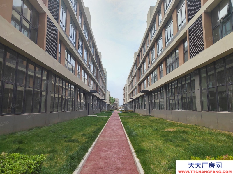 青島李滄3000平標(biāo)準(zhǔn)廠房低價(jià)出租出售！非中介