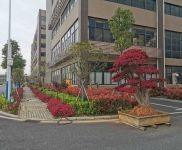 (出租) 武漢黃陂橫店帶行吊工業廠房火熱招租 可分租