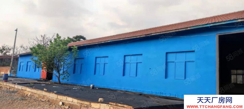 青島李滄區十梅庵十畝地帶單間平房11間加庭院