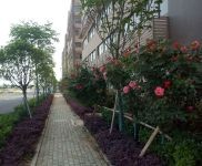 (出租) 武漢黃陂漢北倉庫出租(帶行吊，大貨梯）