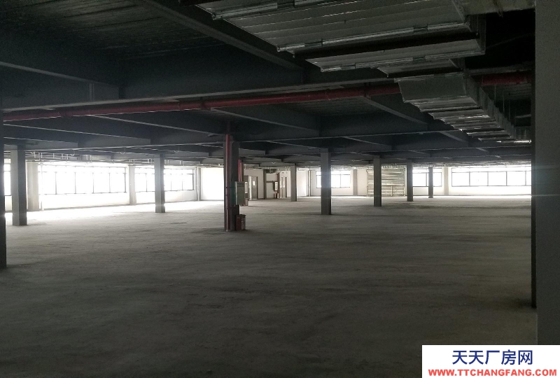 南寧市西鄉塘區(出租) 國企，和泰工業園、正鑫科技園