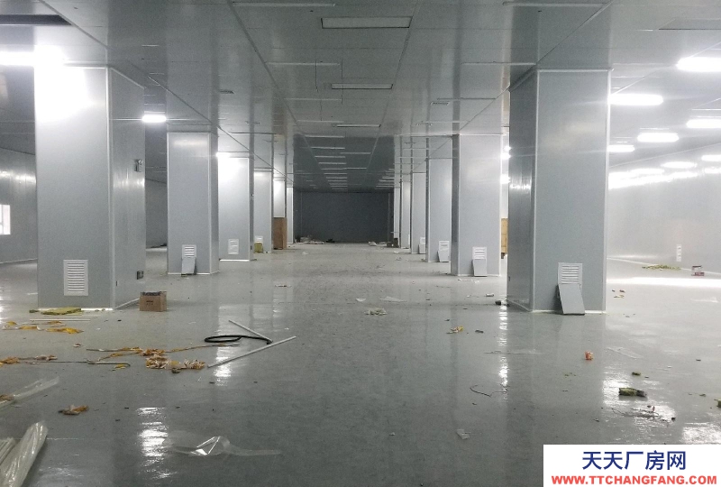 南寧市西鄉塘區(出租) 國企，和泰工業園、正鑫科技園