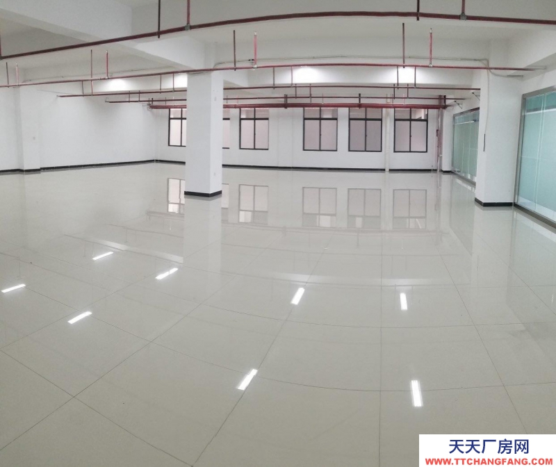 南寧市西鄉(xiāng)塘區(qū)(出租) 和泰工業(yè)園，正鑫科技園，每個月享受1500元補貼。