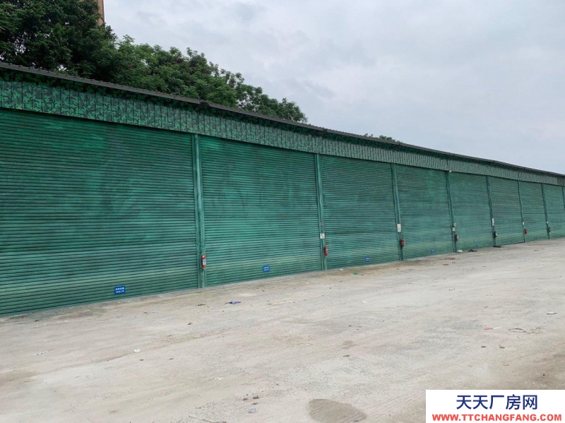 南寧市西鄉塘區(出租) 18米貨車隨意進出 大路廠房可做存儲倉庫