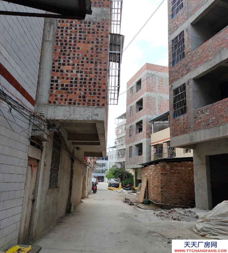 南寧市西鄉塘區(出租) 南寧高新區明華村劉屋坡