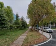 (出租) 武漢新洲國企園區有保障 可提供個性化服務