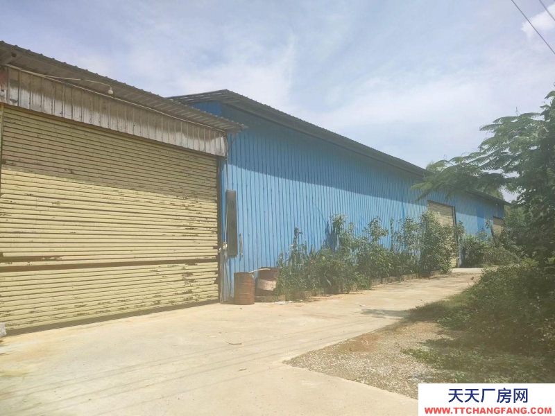 南寧市西鄉塘區(出租) 2萬平花園式廠房/倉庫/可分租/可隔大小