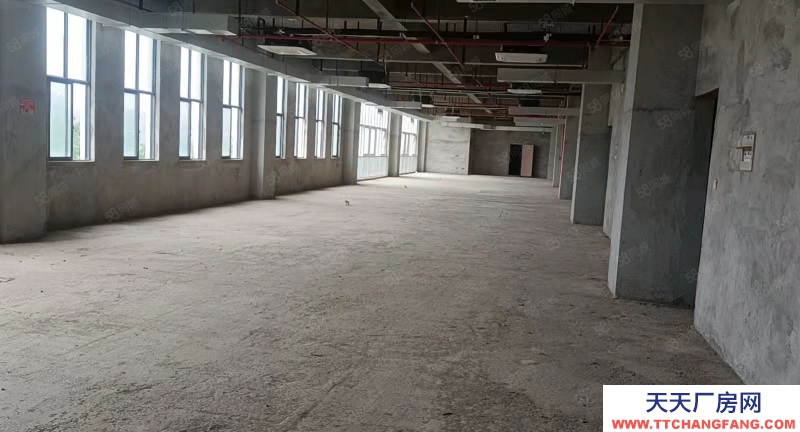 南寧市西鄉(xiāng)塘區(qū)(出租) 特惠房源出租 10元一平起租 標準廠房 還剩少量房源可租