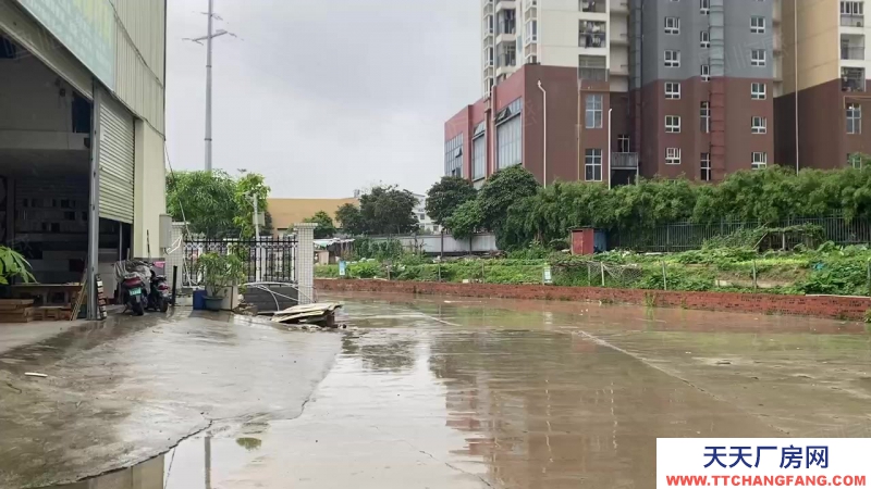 南寧市西鄉(xiāng)塘區(qū)(出租) 安武大道安武建材城新推二期路邊商鋪式廠房！?。。?><span id=