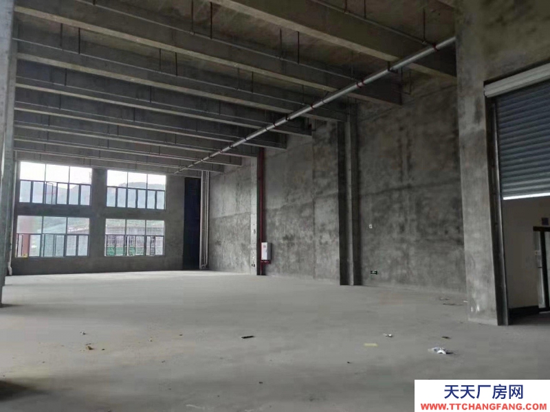 (出售)重慶大渡口 工業園小面積廠房出租出售！！300-1500面積