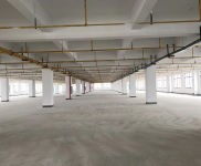 (出租) 武漢新洲陽邏廠房直租蔡甸城區1000平3000平配套完善