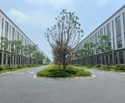 (出售) 武漢新洲現房!企業已入駐,2層獨棟廠房,歡迎您的加入!