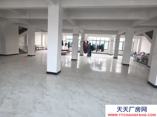 (出租) 空間超高，面積大，很實用地面已打混凝土