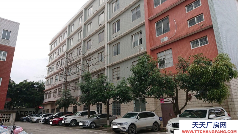 南寧市西鄉(xiāng)塘區(qū)(出租) 心圩西十路26號廠房出租,租金低