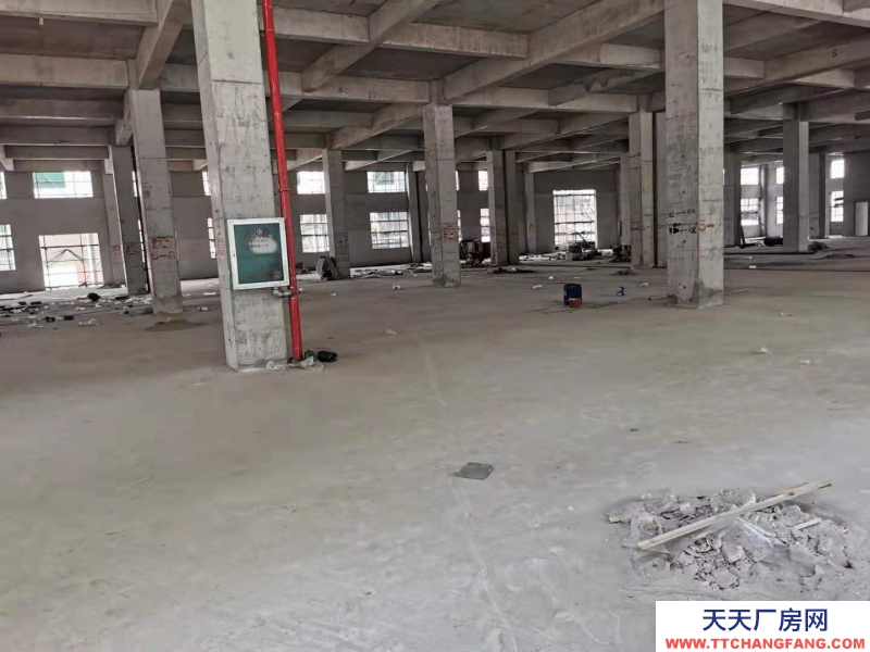 南寧市西鄉塘區(出租) 1150平米一樓廠房招租