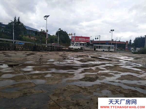 (出租) 超大院子超大房子,喜歡大場地的來。