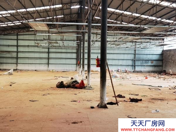 (出租) 三相電，三通，位置好，可做倉庫廠房