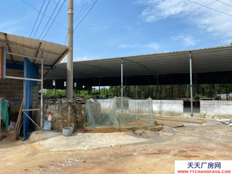 南寧市西鄉(xiāng)塘區(qū)(出租) 2000平方廠房出租