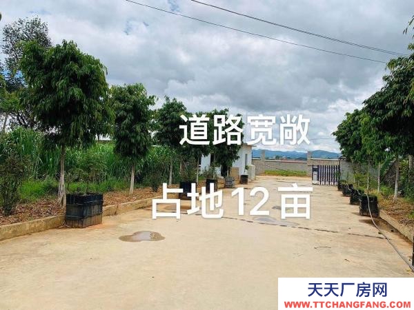 (出租) 占地12畝,租金面議!