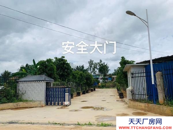 (出租) 占地12畝，租金面議！