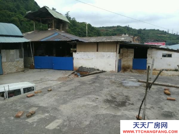 (出租) 廠房出租1150平米，空地，有150平米有采光瓦