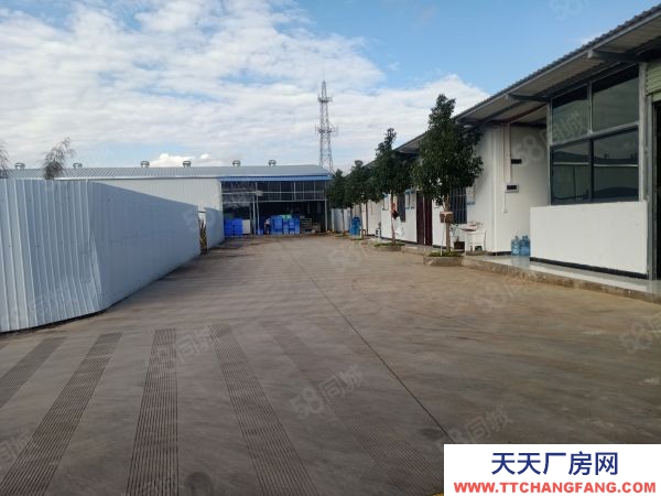 (出租) 白路腳廠房出租，水通，電通，路通，國有土地，可以正常辦理營業