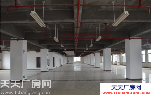 長沙市雨花區(qū)標準廠房辦公樓3000平米出租
