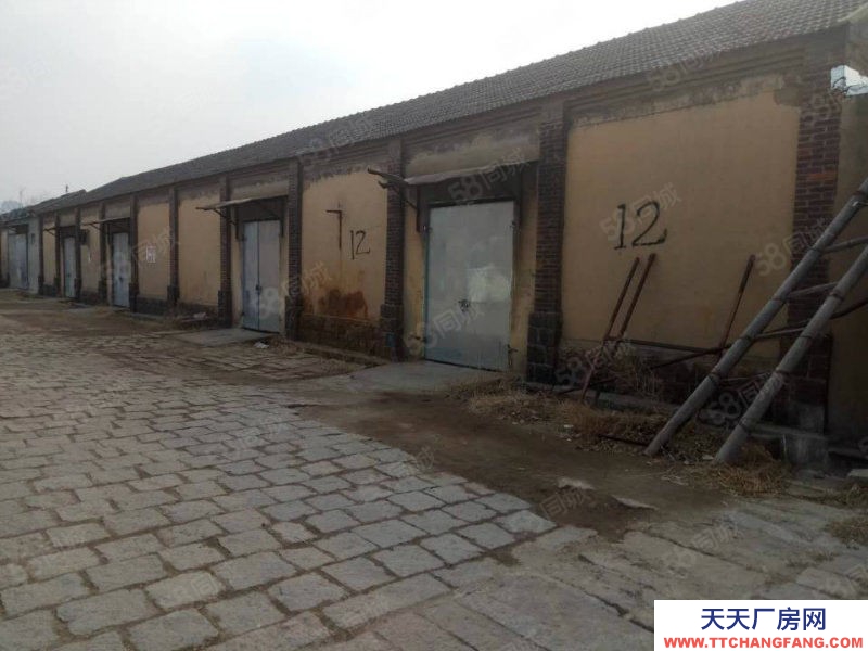 青島李滄區(qū)堿廠附近 標(biāo)準(zhǔn)倉庫 50~500 平 不拆遷