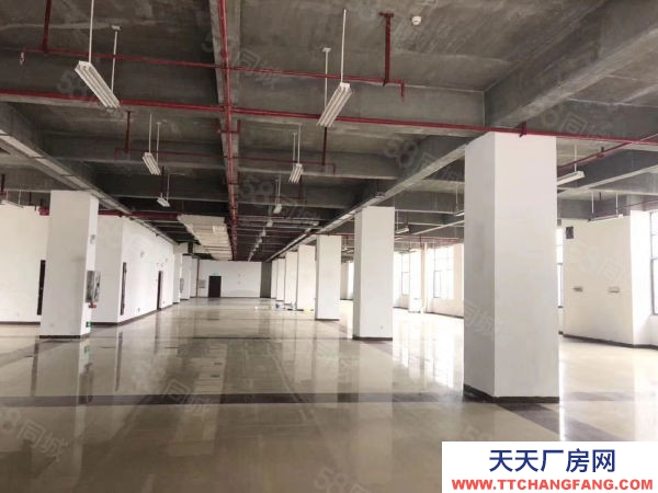 長沙市雨花區(qū)萬家麗南路 精裝標(biāo)準(zhǔn)廠房及辦公2300平米可分租