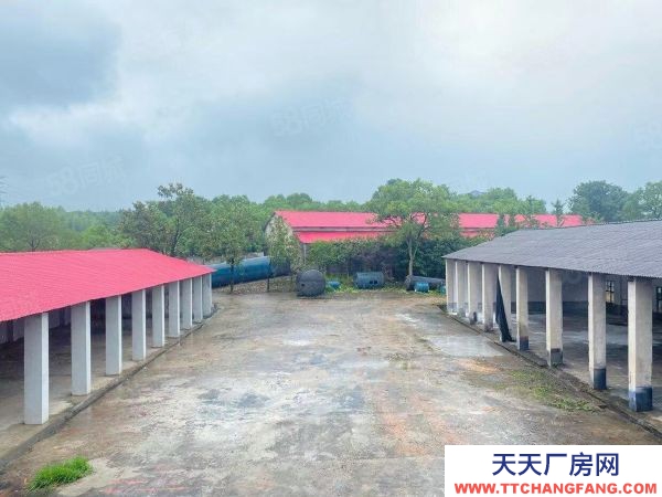 長沙市雨花區跳馬鎮獨門獨院3000廠房倉庫優價出租