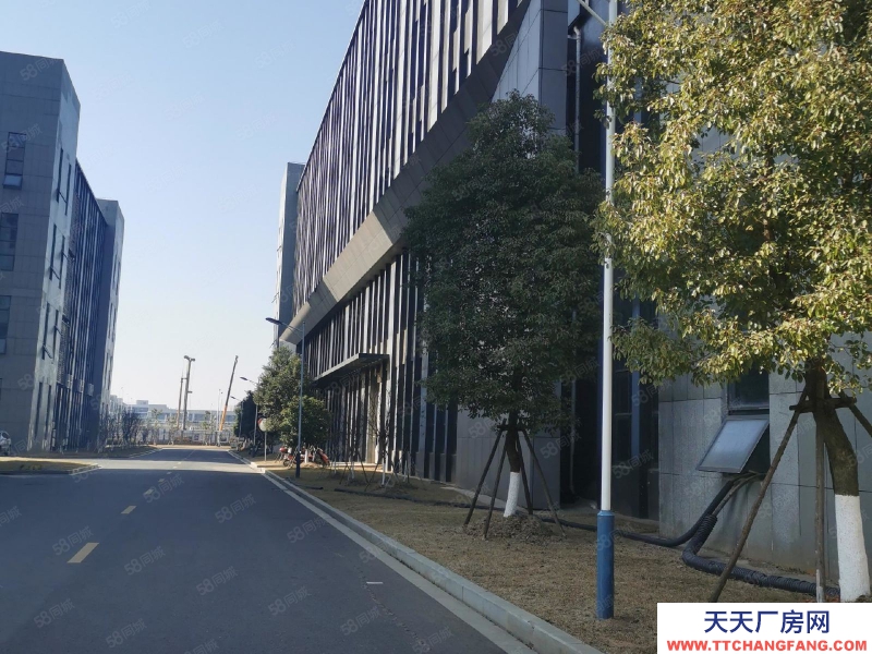 (出租) 南昌西湖區(qū)鄱陽湖新建廠房 1520元月平 上下游產(chǎn)業(yè)鏈齊全