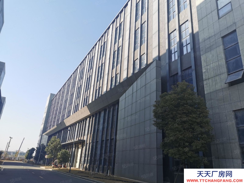 (出租) 南昌西湖區(qū)鄱陽湖新建廠房 1520元月平 上下游產(chǎn)業(yè)鏈齊全