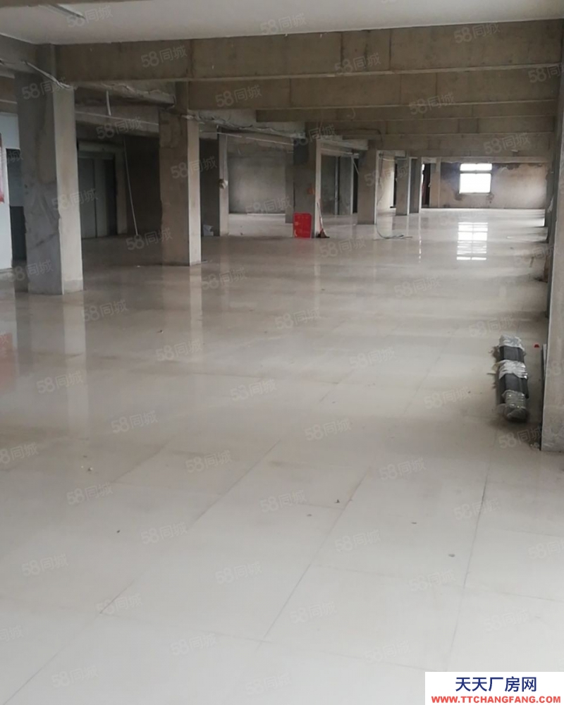 (出租)南昌西湖區 銀燕物流基地有限公司倉庫招租（可分隔）