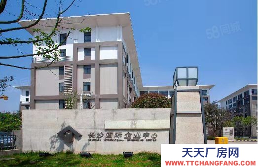 長沙市雨花區(qū)經(jīng)開區(qū)雙地鐵口廠房出售 倉儲辦公研發(fā)生產(chǎn)一體 物流便利