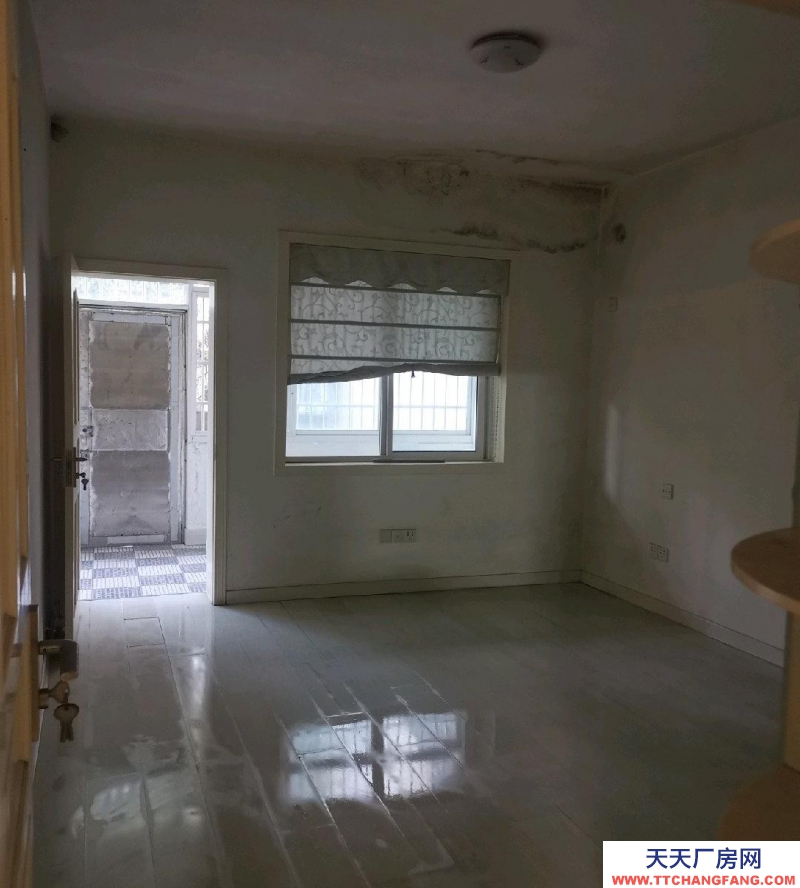 (出租) 西湖區二樓125平，另送100平露臺（獨用）