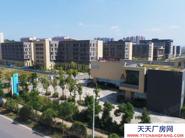 長沙市雨花區國際創新城寫字樓 廠房 倉庫 出租出售！