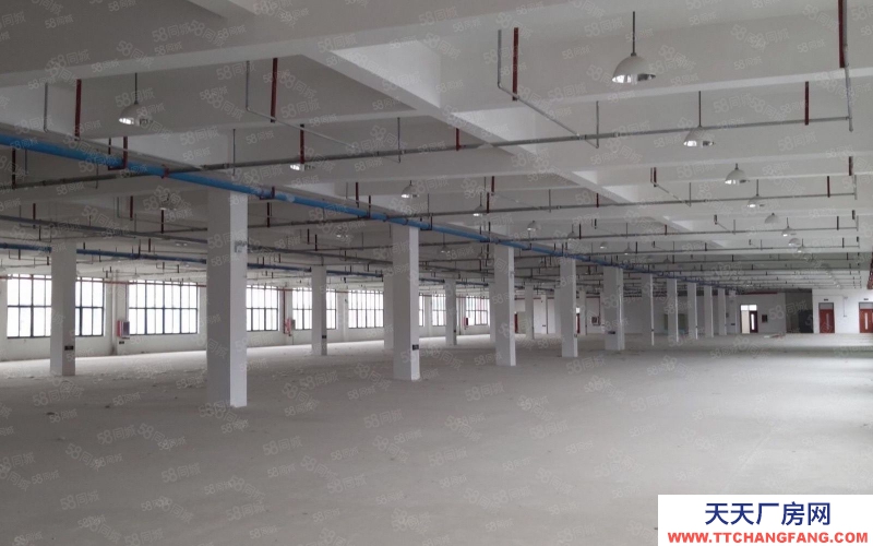 (出租) 安徽包河園區(qū)廠房辦公生產(chǎn)倉儲一體化300到2000平超長免租期