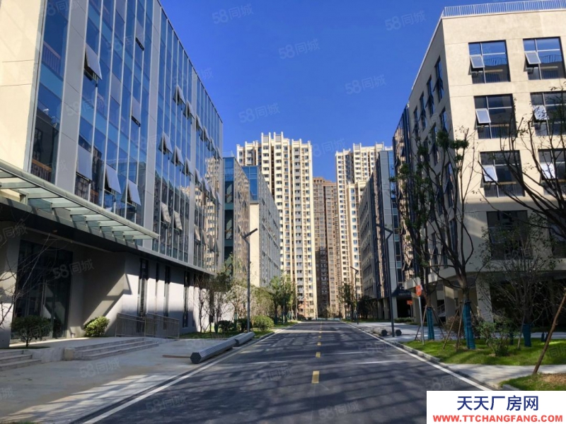 (出租) 安徽包河政府招商包河區(qū)政府園區(qū)招商研發(fā)辦公廠房出租高企可享受房租補貼