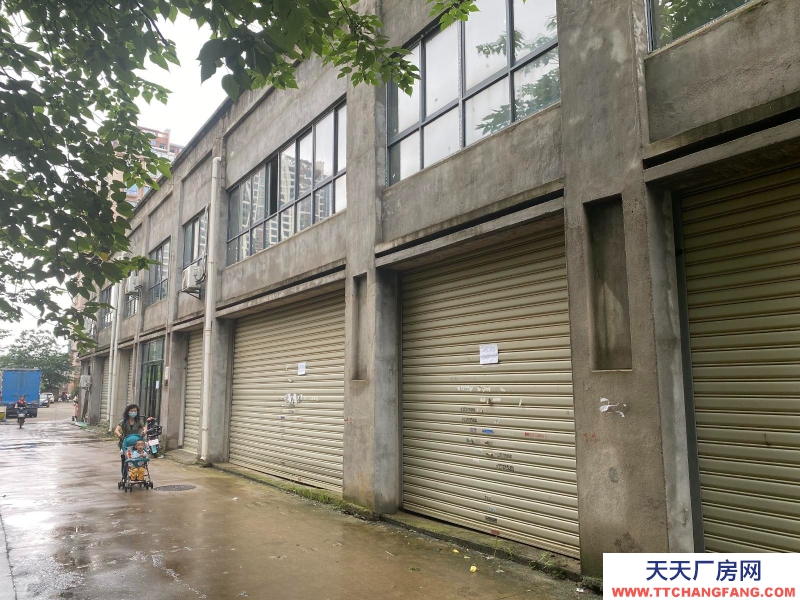 (出租) 南昌青云譜區出租墅溪公寓商鋪當倉庫租300平