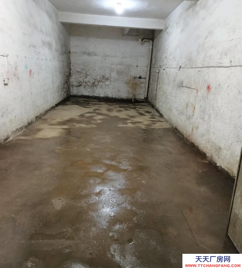 (出租) 南昌青云譜區上海南路和墅溪路交叉口，有個院子，交通方便，有三相四線電。