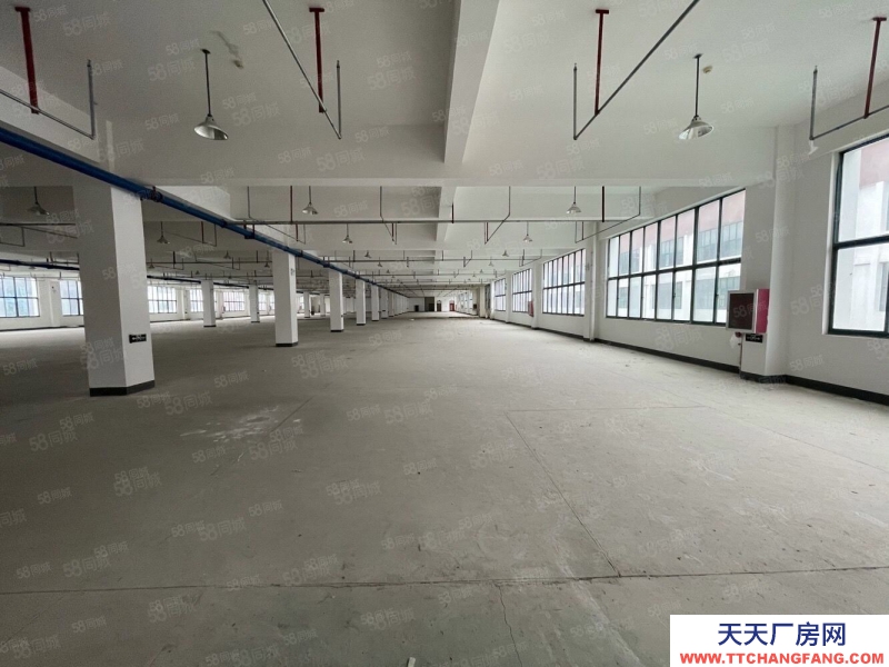 (出租) 安徽包河智能創(chuàng)新產(chǎn)業(yè)招商部直租700至5000平免租支持政策支持