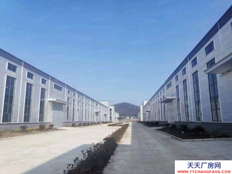 (出售) 合肥包河循環園旁獨棟廠房在售，層高7.8米，低首付