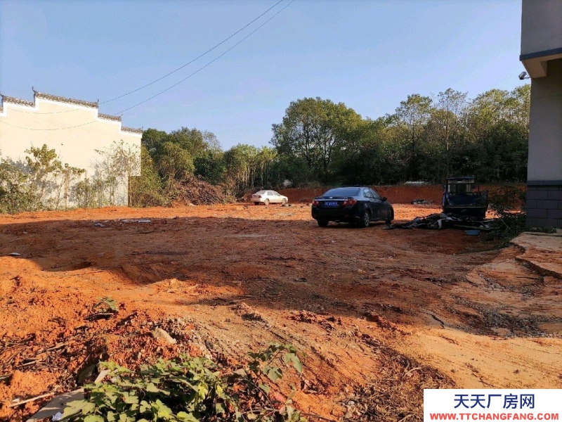 (出租)南昌新建區 廠房廠地空闊320國道傍地理位置好