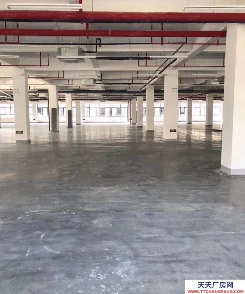 (出租) 創意園區招商部直租500至2000平倉儲辦公一體化免租支持