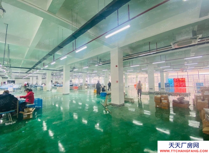 (出租)合肥包河 青網(wǎng)創(chuàng)新園政府園區(qū)無中介費(fèi)300到2000平享受免租期